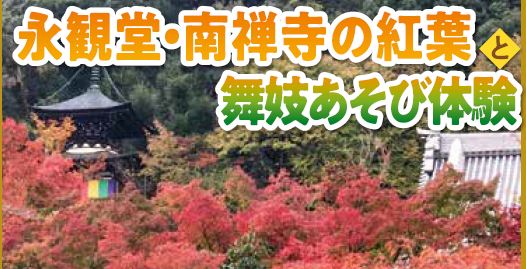 永観堂の絶景と宮川町での舞妓あそび体験