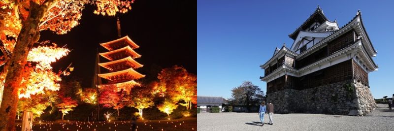 【!!催行決定!!】11月15日出発 天橋立「成相寺」紅葉ライトアップ と 福知山・光秀ゆかりの地巡り 20名限定