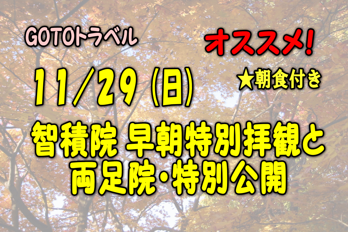 11/29(日)限定★長谷川等伯と堂本印象の障壁画で彩られる 智積院 早朝特別拝観(ご朝食付)と建仁寺両足院・特別公開を巡る秋の京都ツアー