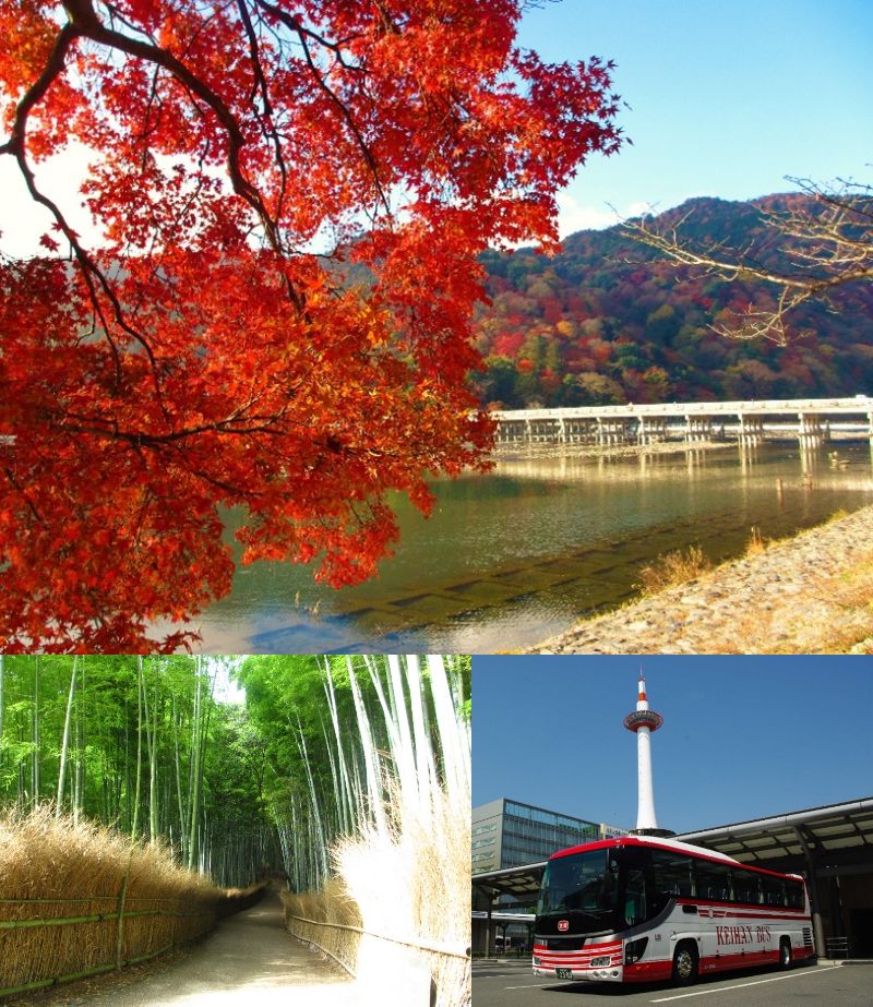 「京都定期観光バス」京都一日 世界遺産~天龍寺と竹林嵐山・金閣寺・上賀茂神社~【BWコース】