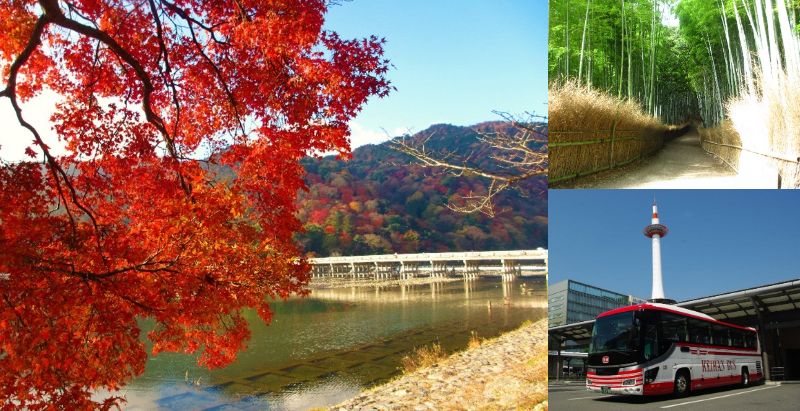 「京都定期観光バス」京都一日~清水寺・三十三間堂・嵐山・龍安寺~【BBコース】