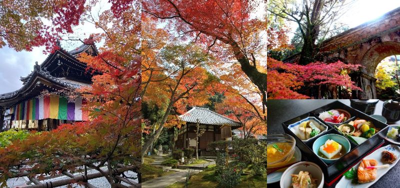 「京都定期観光バス」~京都もみじ紀行~ 秋 momiji「一期一会」【Jコース】