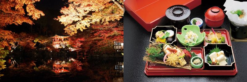 「京都定期観光バス」ライトアップ 京の紅葉 醍醐寺と隨心院【XBコース】