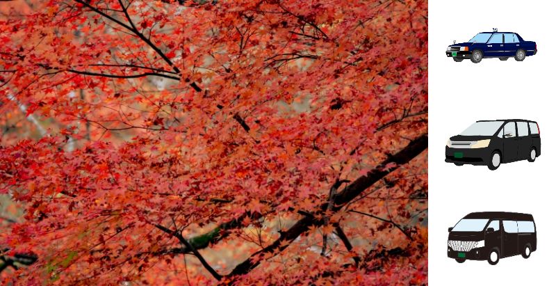 組み合わせ自由!選べるこだわりの京都紅葉日帰りツアー♪
