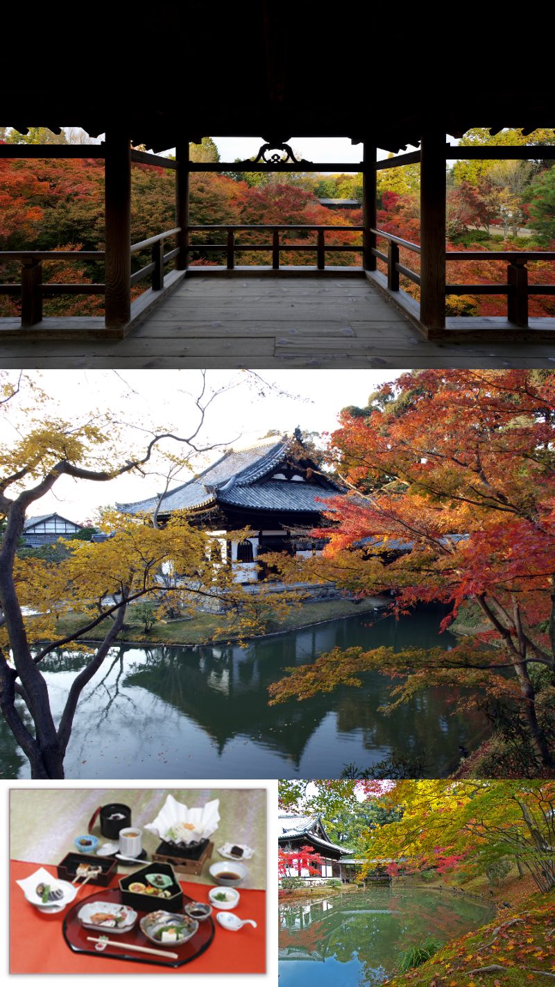 観光タクシーでめぐる京都西山・今年見逃せない紅葉の名所