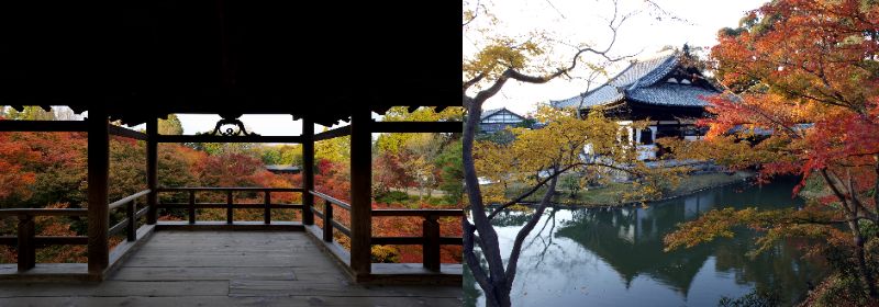 「世界文化遺産・醍醐寺」と「隨心院」のライトアップ&山科・毘沙門堂の紅葉