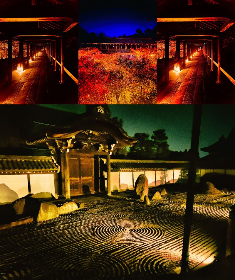 完全予約制 京都を代表する紅葉の名所・東福寺夜間特別拝観(タクシー付)