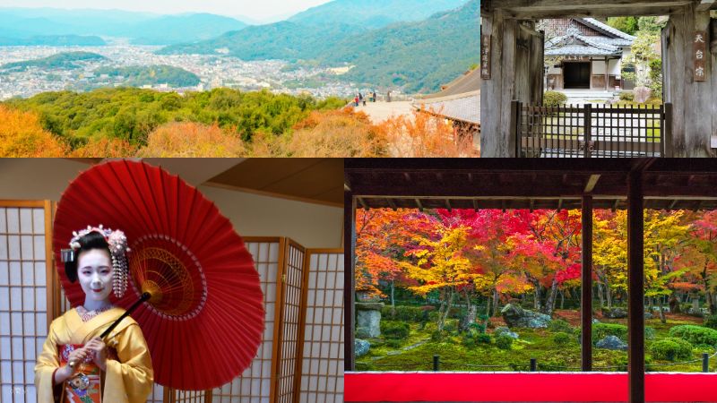 1日10名限定!とっておきの京都紅葉めぐりと宿坊プチ修行体験ツアー3日間