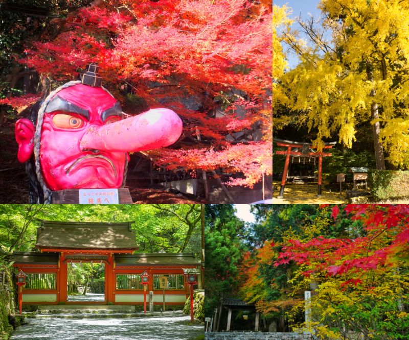 「京の奥座敷」のさらに奥!知られざる秘境の紅葉ツアー2日間♪