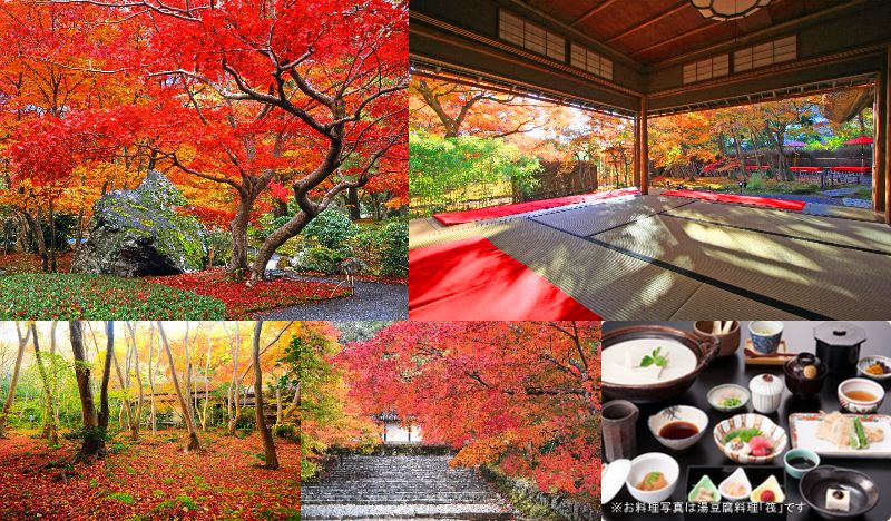 京都府民割利用 嵐山・嵯峨野 紅葉スポット貸切タクシー日帰りプラン