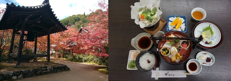 「京都定期観光バス」~京都もみじ紀行~高雄散策と石仏、紅葉名所めぐり【AIコース】