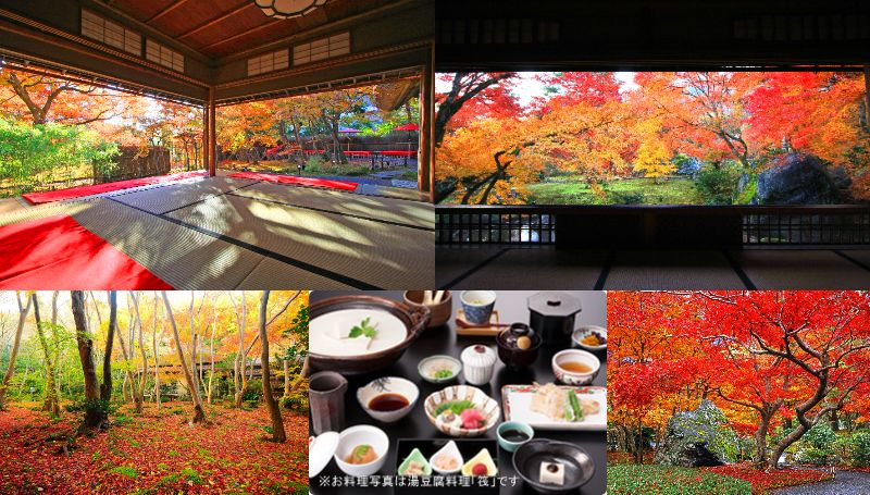 ⑥全国旅行支援　嵐山・嵯峨野の紅葉の美しいスポットを巡る貸切タクシー日帰りプラン