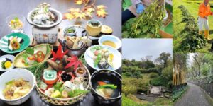 【まるっと京都】京丹波・黒枝豆狩りと秋の味覚満喫！ 洛西竹林公園と京丹波八光亭 彩り膳　※催行保証