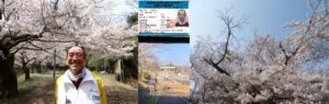 🌸Early Spring in Kyoto: Walking Tour of Nanzen-ji & Lake Biwa Canal Sites Early Spring in Kyoto Walking Tour of Nanzen-ji & Lake Biwa Canal Sites🌸