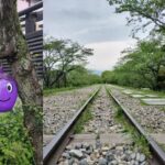 🍀Early Spring in Kyoto:  Walking Tour of Nanzen-ji & Lake Biwa Canal Sites 🍀