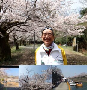 🌸早春の京都　十石舟と南禅寺・琵琶湖疏水関連施設（南禅寺三門・南禅院・金地院、無鄰菴・インクラインほか）の散策（徒歩）🌸